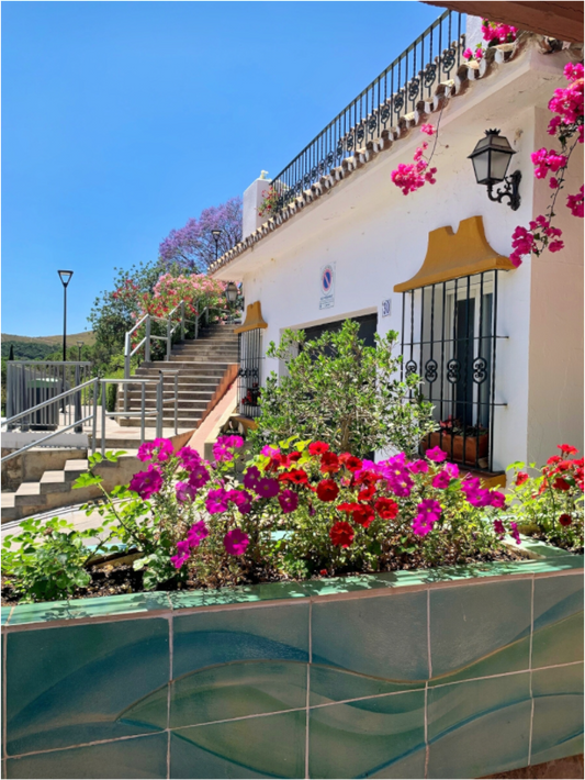 Main image Pretty Benhavis Spain